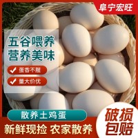 正宗土雞蛋農家散養新鮮農村自養野外笨雞蛋